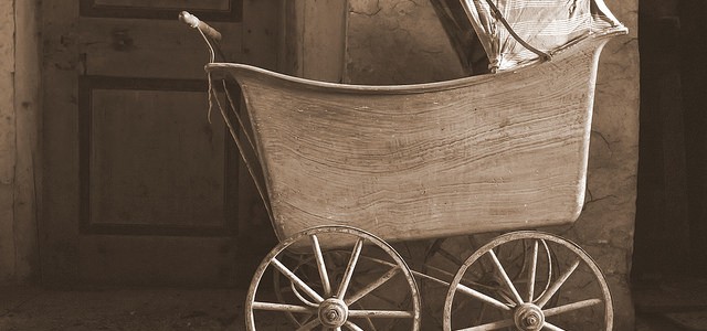 5 Best Creative Baby Carriages for Your Baby